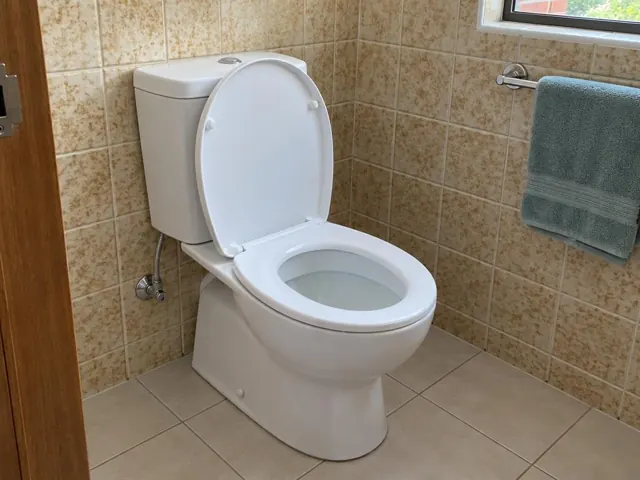 Clean white toilet in a tiled bathroom with towel rail and window in Plumpton